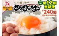 [定期便／6ヶ月] 月2回 全12回 さかもとのたまご 20個 (18個＋割れ保証2個) 合計240個｜坂本養鶏 大山の麓で育ったさかもとのたまご 赤玉卵 玉子 鶏卵 伊勢原市 赤玉卵 玉子 生卵 国産 TKG タマゴ 新鮮 大山 鶏 ギフト 安心 安全 親子丼 卵焼き 目玉焼き お菓子 [0754]