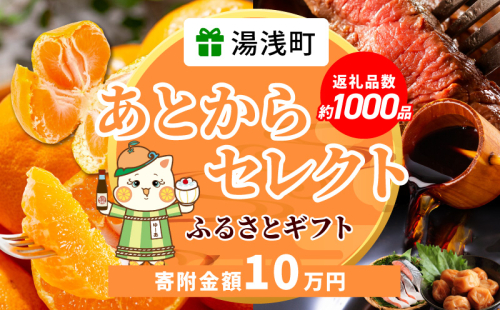 ZZ1014_あとからセレクト【ふるさとギフト】10万円 2384662 - 和歌山県湯浅町