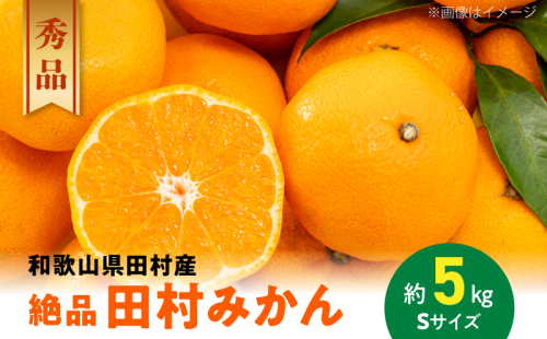 AB7431_《2025年11月～発送》【和歌山特産品】【プレミアムブランド】絶品 田村みかん 秀品 Sサイズ 約5kg 2384675 - 和歌山県湯浅町
