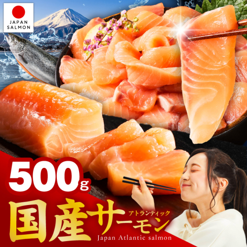 国産アトランティックサーモン 500g ポーション【小分け 真空パック 訳あり サイズ不揃い 刺身 海鮮丼 さーもん 鮭 さけ シャケ しゃけ 冷凍】 nbj0010 2384676 - 大阪府泉佐野市