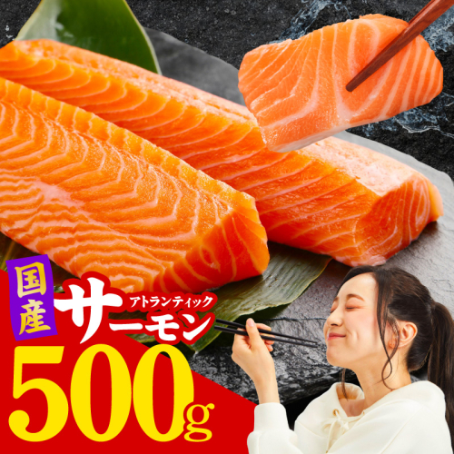 国産アトランティックサーモン 500g ポーション【小分け 真空パック 訳あり サイズ不揃い 刺身 海鮮丼 さーもん 鮭 さけ シャケ しゃけ 冷凍】 nbj0010 2384676 - 大阪府泉佐野市