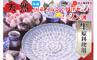 国産 天然 とらふぐ 料理セット 2〜3人前 河豚 ふぐ フグ ふぐ刺し とらふく てっさ ふぐ料理 高級魚 魚介 海鮮 贈答 ギフト 贈り物 お取り寄せ 年末年始 蟹屋 KNY-F02t 下関 山口 [配送指定日必須]