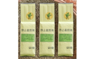 深蒸し掛川茶　特上茎煎茶500g×3本セット【1648139】
