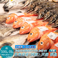 【定期便 2ケ月連続】プロ厳選 北海道産 天然 鮮魚セット ＜冷蔵＞ 500g～1kg ｜ 鮮魚ボックス 詰め合わせ 鮮魚 生食 刺身 下処理 切り身 料理に 定期便も人気 2回 ヒロセ 産地直送 魚介 海鮮 魚介 海鮮定期便 北海道 釧路町 釧路超