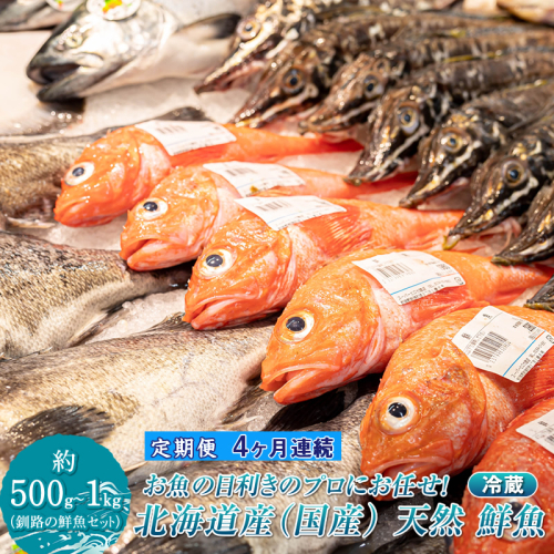 【定期便 4ケ月連続】プロ厳選 北海道産 天然 鮮魚セット ＜冷蔵＞ 500g～1kg ｜ 鮮魚ボックス 詰め合わせ 鮮魚 生食 刺身 下処理 切り身 料理に 定期便も人気 4回 ヒロセ 産地直送 魚介 海鮮 魚介 70000円以下 海鮮定期便 北海道 釧路町 釧路超 2385432 - 北海道釧路町