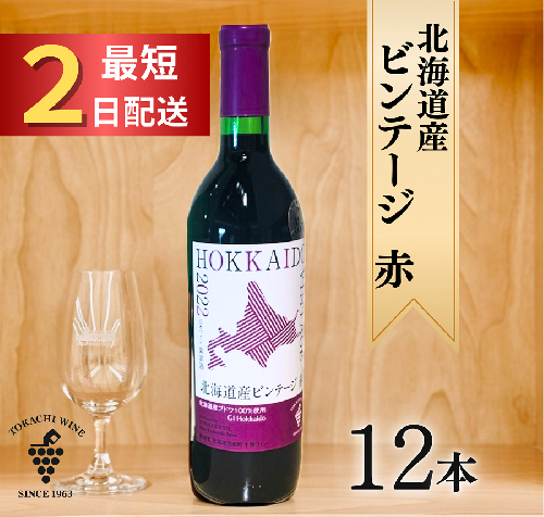 北海道産ビンテージ赤12本 最短申込みから2日発送 北海道ワイン 北海道池田町 2385441 - 北海道池田町