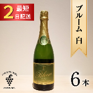 十勝ワイン ブルーム白6本 北海道スパークリング 瓶内二次発酵 スパークリングワイン 辛口 申し込みから最短2日で発送