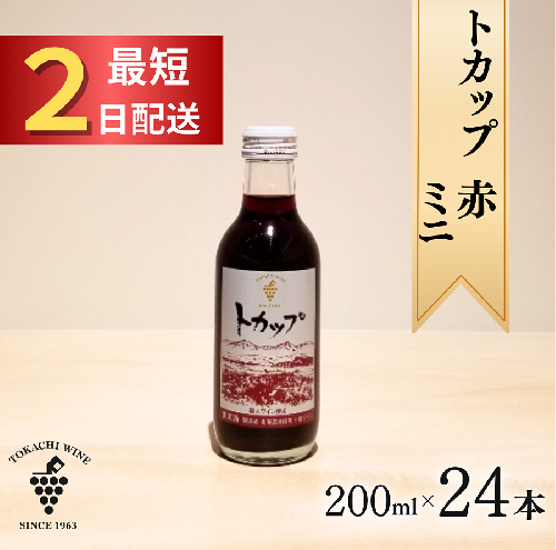 十勝ワイン ミニボトル24本（赤）200ml×24本 赤ワイン 飲み切り お申込みから最短2日発送 2385449 - 北海道池田町