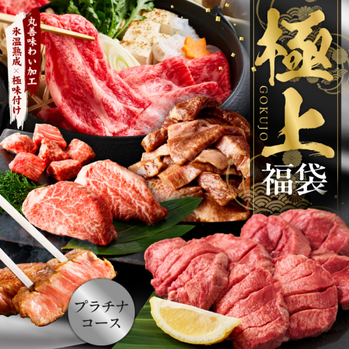 極上福袋 プラチナコース 5種 4kg以上【牛肉 ステーキ 牛タン 焼肉 しゃぶしゃぶ すき焼き 氷温熟成×極味付け】 mrz0236 2385455 - 大阪府泉佐野市