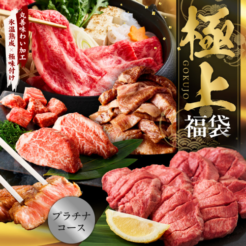 極上福袋 プラチナコース 5種 4kg以上【牛肉 ステーキ 牛タン 焼肉 しゃぶしゃぶ すき焼き 氷温熟成×極味付け】 mrz0339 2385455 - 大阪府泉佐野市