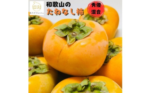 【2026年10月発送】【家庭用】和歌山のたねなし柿 秀優混合 約2kg【ard254】 2385588 - 和歌山県紀美野町