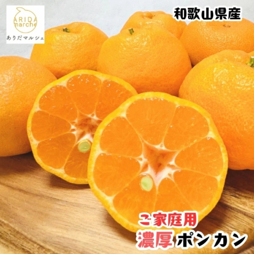 極甘 柑橘有田育ちの 濃厚 ポンカン（家庭用）3kg+200g(傷み補償分) ｜ 有田 柑橘 フルーツ みかん オレンジ 産地直送 2385599 - 和歌山県美浜町