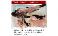 [片身三枚おろし(唐揚げ用)、片身三枚おろし皮引き(刺身用)][先行予約]活き締めオコゼ2尾セット(2人前)ポン酢付き 虎魚 おこぜ 薄造り 唐揚げ