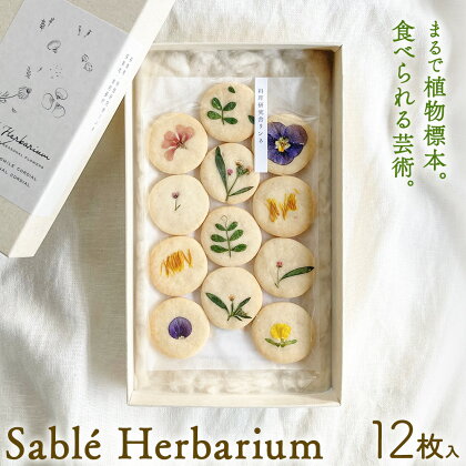 Sable Herbarium 12枚入り 料理研究舎リンネ《30日以内に出荷予定(土日祝除く)》熊本県 南阿蘇村 サブレハーバリウム サブレ グルテンフリー 米粉 エディブルフラワー カモミール クッキー 焼菓子 焼き菓子 お菓子 贈り物 プレゼント ギフト 2385674 - 熊本県南阿蘇村