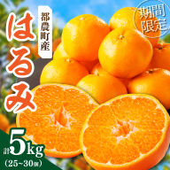 ≪数量限定≫希少な柑橘『はるみ』計5kg フルーツ 果物 柑橘 みかん 国産_T008-0015