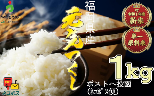 【令和7年産米】JAよりお届け！福岡県ブランド米「元気つくし」 1kg[G2305] 2385717 - 福岡県福津市