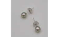 真珠 ピアス 4.5 mm K10WG アクセサリー パール ジュエリー 三重 伊勢 志摩 真珠 パール アコヤ真珠 アコヤ貝 あこや 冠婚葬祭 慶事 誕生日 結婚式 記念日 お祝い 贈り物 ギフト デイリーピアス、シルバーグレー4.5 mmのベビーパールピアス