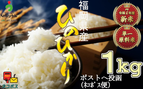 【令和7年産米】JAよりお届け！「ひのひかり」 1kg[G2307] 2385797 - 福岡県福津市