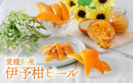[自然栽培]潮風たっぷり!自然栽培 いよかん 冷凍 ピール 皮 | いよかん お菓子づくり マーマレード お酒 伊予柑 愛媛県産 みかん 自然栽培 柑橘 ミカン ミカン 愛媛県産 家庭用 えひめのみかん GUILD 愛媛県 松山市