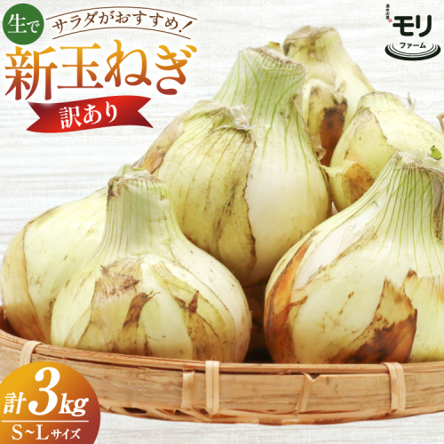 AJ113 【訳あり】 湧水の里 モリファーム 新玉ねぎ 3kg 不揃い (S～Lサイズ混合) [ 新たまねぎ 新たま 玉ねぎ たまねぎ タマネギ 生玉ねぎ サラダ おいしい ふぞろい 訳アリ 森農園 湧水の里 モリファーム 長崎県島原市 ] 2385875 - 長崎県島原市