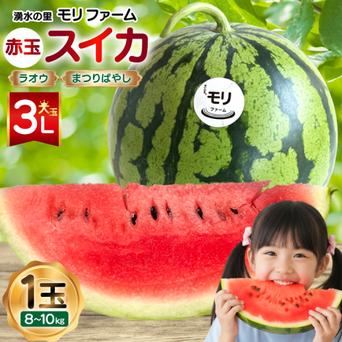 AJ455 【令和8年度出荷分】 湧水の里 モリファーム 赤玉 スイカ ラオウ まつりばやし 3L 8～10kg 1玉 [ 先行予約 数量限定 すいか スイカ 西瓜 フルーツ 果物 長崎 長崎県 島原市 ] 2385876 - 長崎県島原市