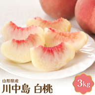 【令和8年産】 川中島白桃 3kg【JAさがえ西村山】山形県産 白桃 ピーチ 桃 川中島 ka008-012e-r8