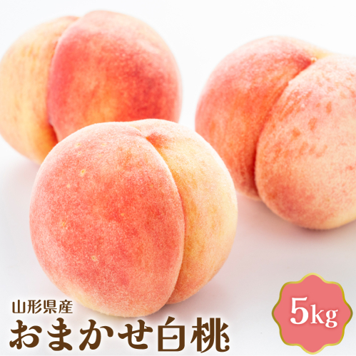 【令和8年産】おまかせ白桃 5kg【JAさがえ西村山】 ka008-013e-r8 2386168 - 山形県河北町