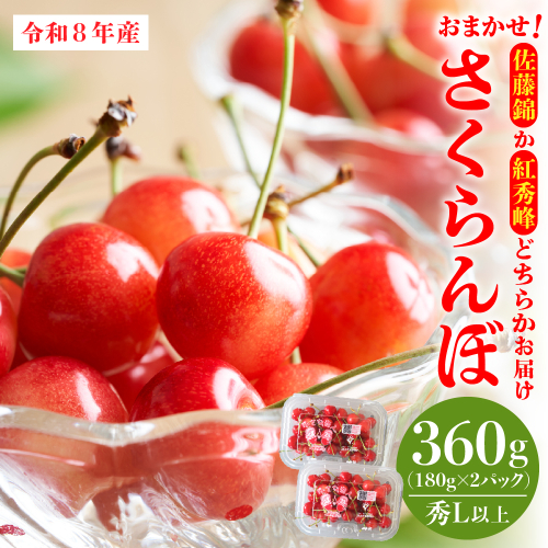 【令和8年産】おまかせさくらんぼ「佐藤錦or紅秀峰」秀Ｌ以上 360g （180gフードパック×2パック）【JAさがえ西村山】 ka008-110e 2386169 - 山形県河北町