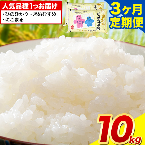 【発送時期が選べる】【先行予約】米 お米 令和7年産 予約 定期便 備中笠岡ふるさと米 定期便 10kg × 3ヶ月 国産 ヒノヒカリ にこまる きぬむすめ 発送時期が選べる 単一原料米 検査済み 国産 ブランド米 お取り寄せ 送料無料 岡山県産 2386170 - 岡山県笠岡市