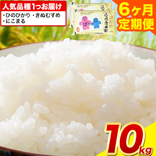 【発送時期が選べる】【先行予約】米 お米 令和7年産 予約 定期便 備中笠岡ふるさと米 定期便 10kg × 6ヶ月 国産 ヒノヒカリ にこまる きぬむすめ 発送時期が選べる 単一原料米 検査済み 国産 ブランド米 お取り寄せ 送料無料 岡山県産 2386171 - 岡山県笠岡市
