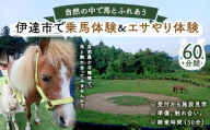自然の中で馬とふれあう 伊達市で乗馬体験＆エサやり体験【60分】 馬 うま 乗馬 初心者 自然 体験 F21C-245