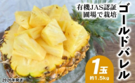 有機JAS認証圃場で栽培　ゴールドバレル　1玉（約1.5kg） 2026年発送 沖縄県産 東村 パイナップル ジューシー 希少 高級フルーツ 南国フルーツ 国産フルーツ 農家直送 パイン 果物 贈り物 おすすめ お土産 人気 やんばる 大自然 南国気分 沖縄本島北部