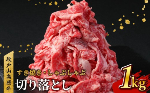 8月発送★国産ブランド牛 切り落とし 1Ｋｇ (200g×5） 小分け 段戸山高原牛 幻 牛 国産 牛肉 牛 スライス 地域 限定 小分け 大満足 赤身 肉 数量限定 肉 牛肉切り落とし 牛切り落とし 国産牛 ブランド牛 10000円 10,000円 -039S