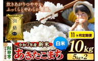 《令和7年産 新米》《定期便11ヶ月》 米 あきたこまち 10kg（5kg×2袋） 【白米】 秋田県産