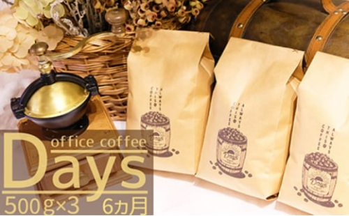 定期便 6ヶ月 自家焙煎 オフィスコーヒー Days マイルドブレンド 500g×3 粉 6回 お楽しみ Morrow珈琲