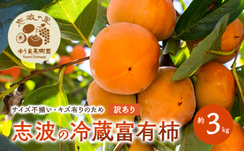 訳あり 志波の冷蔵富有柿 約3kg 柿 冷蔵 ※配送不可：離島 2388001 - 福岡県朝倉市