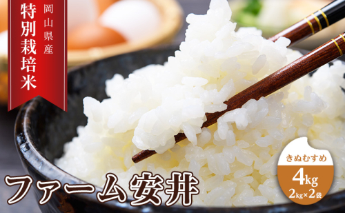 お米 【2025年11月～発送予定】 特別栽培米 きぬむすめ 4kg (2kg×2袋) 米 白米 岡山県産 ファーム安井 精米 ライス ご飯 おにぎり お弁当 和食 主食 国産 炭水化物 直送 産地直送 粘り強い ふっくら 柔らかい 2388079 - 岡山県赤磐市