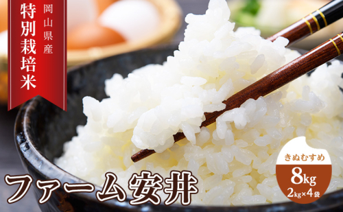 お米 【2025年11月～発送予定】 特別栽培米 きぬむすめ 8kg (2kg×4袋) 米 白米 岡山県産 ファーム安井 精米 ライス ご飯 おにぎり お弁当 和食 主食 国産 炭水化物 直送 産地直送 粘り強い ふっくら 柔らかい 2388080 - 岡山県赤磐市
