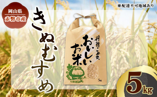 令和7年 きぬむすめ 玄米 5kg 晴れの国 岡山県産 米 お米 コメ おこめ 岡山 赤磐市 2388097 - 岡山県赤磐市