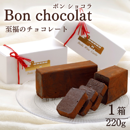 ボンショコラ チョコレート ケーキ ハーフ 1箱 チョコ バレンタイン ケーキ チョコレート Bon chocolat 2388240 - 北海道池田町