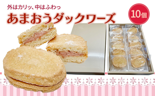 洋菓子 あまおう ダックワーズ 10個入り いちご スイーツ 菓子 お菓子 2388274 - 福岡県大刀洗町