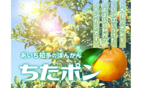 ちたポン（ぽんかん）5kg｜あいち知多のぽんかん 太田ぽんかん ポンカン フルーツ 果物 果実 かんきつ みかん ミカン 蜜柑 期間限定 数量限定 美浜町 愛知県 知多半島 国産　※北海道・沖縄・離島への配送不可　※2026年1月中旬～2月中旬頃に順次発送予定 2388281 - 愛知県美浜町