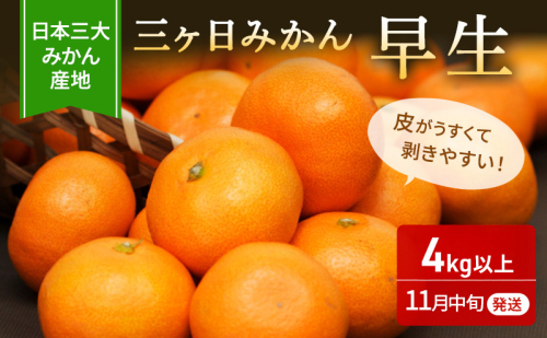 【2025年11月中旬より順次発送】三ヶ日みかん 早生 4kg以上 みかん ミカン 蜜柑 早生みかん 三ヶ日 果物 くだもの フルーツ 旬の果物 旬のフルーツ 柑橘 柑橘類 糖度 静岡 浜松市【配送不可：離島】 2388294 - 静岡県浜松市