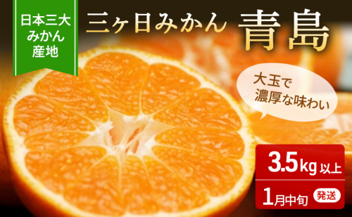 【2026年1月中旬頃より順次発送】三ヶ日みかん 青島 3.5kg以上 みかん ミカン 蜜柑 青島みかん 三ヶ日 果物 くだもの フルーツ 旬の果物 旬のフルーツ 柑橘 柑橘類 糖度 静岡 浜松市【配送不可：離島】 2388295 - 静岡県浜松市