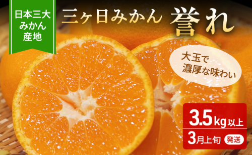 【2026年3月上旬頃より順次発送】三ヶ日みかん 誉れ 3.5kg以上 みかん ミカン 蜜柑 誉れみかん 三ヶ日 果物 くだもの フルーツ 旬の果物 旬のフルーツ 柑橘 柑橘類 糖度 静岡 浜松市【配送不可：離島】 2388296 - 静岡県浜松市