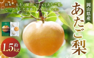 あたご梨 3〜4玉 約400〜500g 合計約1.5kg以上 化粧箱 梨 ナシ なし 愛宕梨 あたごなし ジャンボ梨 [2025年11月下旬〜12月下旬発送予定]