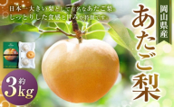 あたご梨 3〜5玉 合計約3kg 化粧箱 梨 ナシ なし 愛宕梨 あたごなし ジャンボ梨 [2025年11月下旬〜12月下旬発送予定]