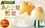 あたご梨・鴨梨(ヤーリー)詰合せ 2玉 合計約2kg 贈答箱 梨 ナシ なし 愛宕梨 あたごなし ジャンボ梨 [2025年11月下旬〜12月下旬発送予定]