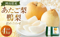 あたご梨 2〜3玉・鴨梨(ヤーリー)3〜6玉 詰合せ 合計約4kg 化粧箱 梨 ナシ なし 愛宕梨 あたごなし ジャンボ梨 [2025年11月下旬〜12月下旬発送予定]