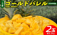 ミヤ家　ゴールドバレル　2玉（約3.2kg）多冠芽・無冠芽含む 2026年発送 沖縄県産 東村 パイナップル ジューシー 希少 高級フルーツ 南国フルーツ 国産フルーツ 農家直送 パイン ゴールドバレル 贈り物 おすすめ お土産 人気 やんばる 大自然 南国気分 沖縄本島北部